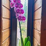 Apartamento Mandi Mandi A *